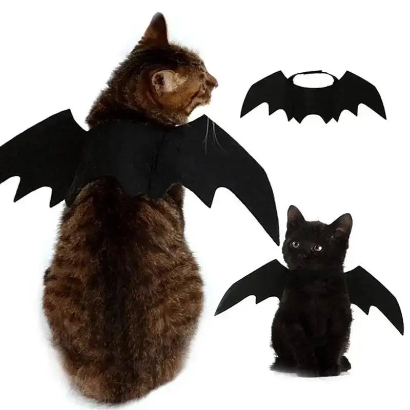 Bat-Wing Cat Costume for Cosplay