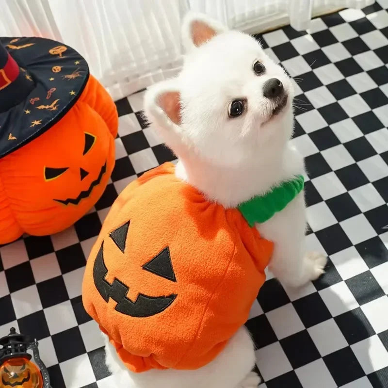 Halloween Dog Costumes Funny Pumpkin Lantern
