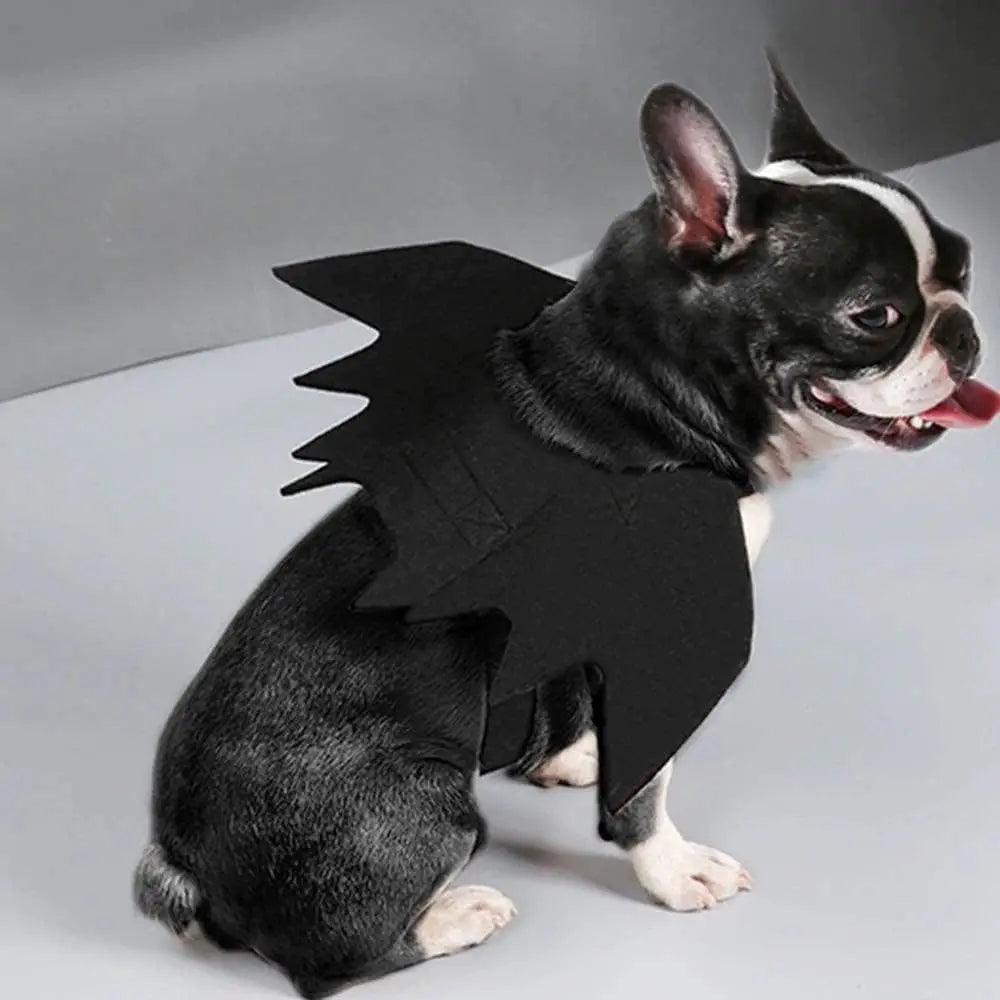 Bat-Wing Cat Costume for Cosplay