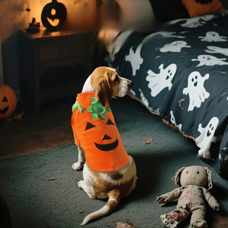 Halloween Pet Costume Pumpkin Outfit