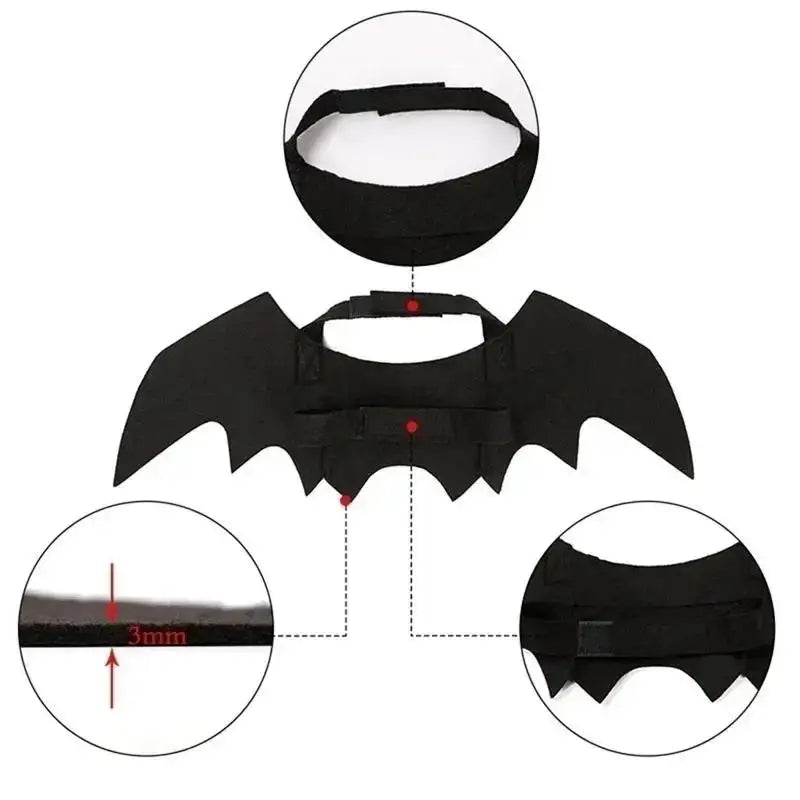 Bat-Wing Cat Costume for Cosplay