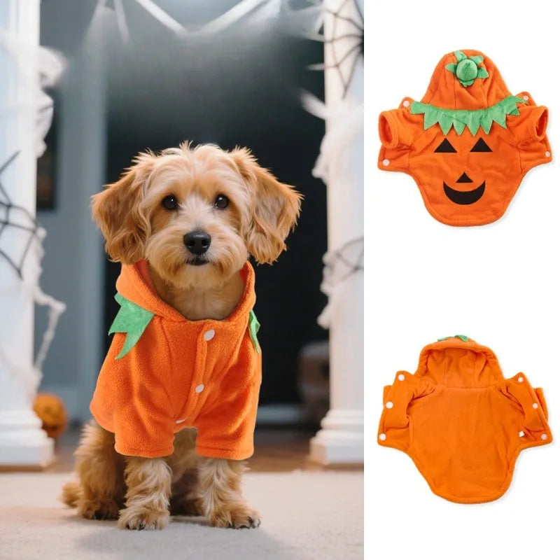 Halloween Pet Costume Pumpkin Outfit