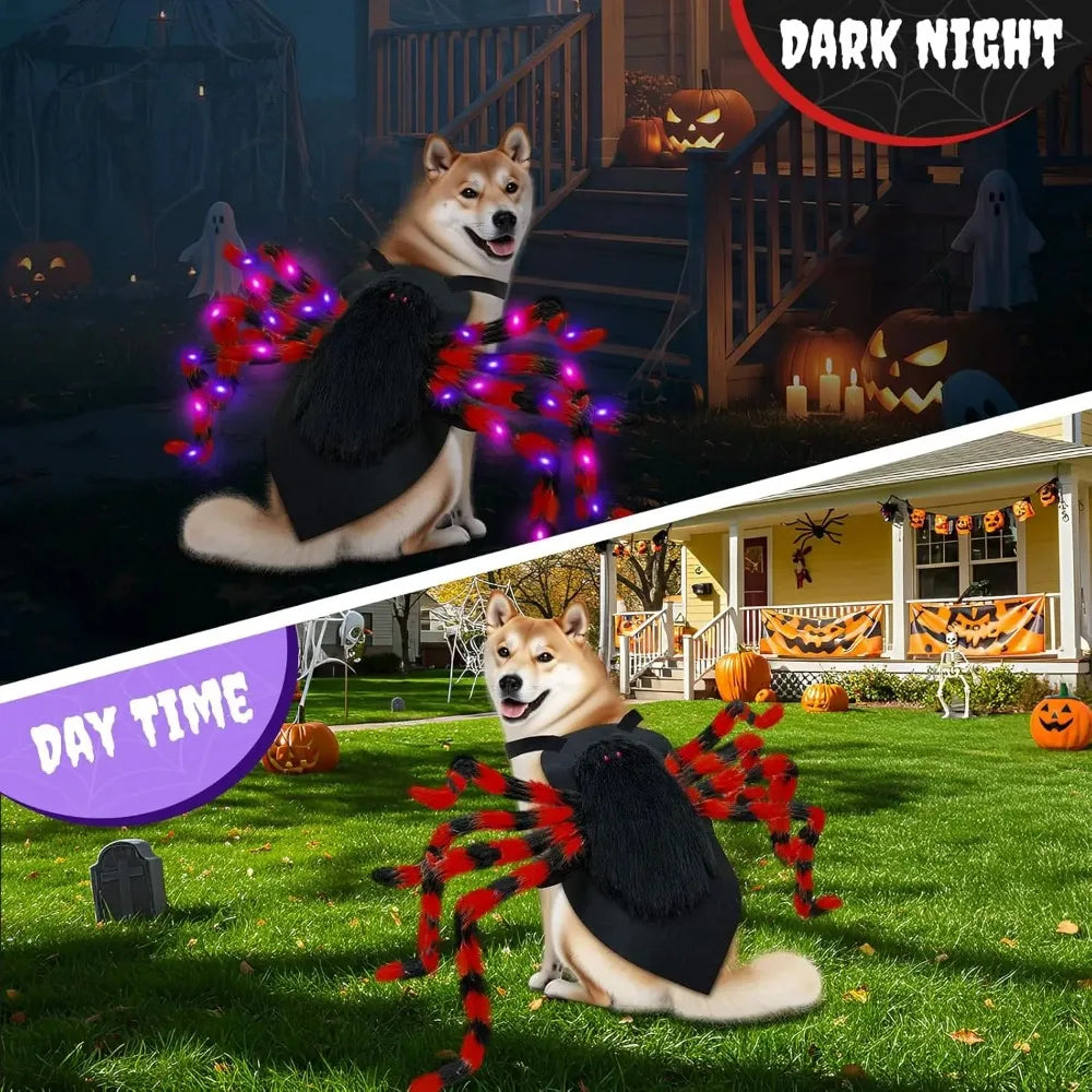 Fun Halloween Costume Spider for Large Dogs