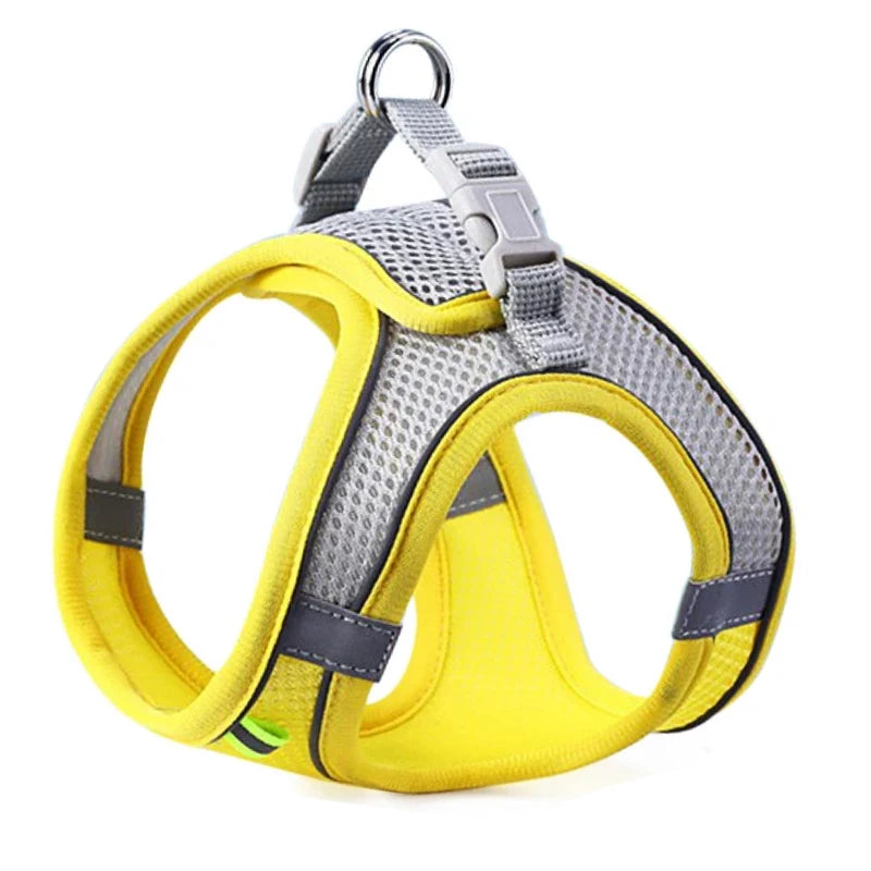 Cat Dog Harness for Small Medium Dogs Outdoor Walking