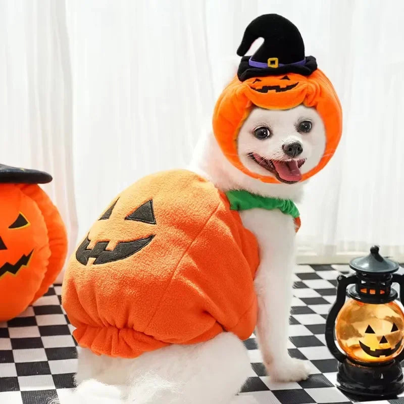 Halloween Dog Costumes Funny Pumpkin Lantern