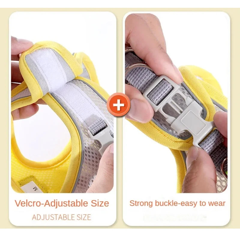 Cat Dog Harness for Small Medium Dogs Outdoor Walking
