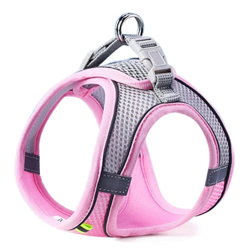 Cat Dog Harness for Small Medium Dogs Outdoor Walking