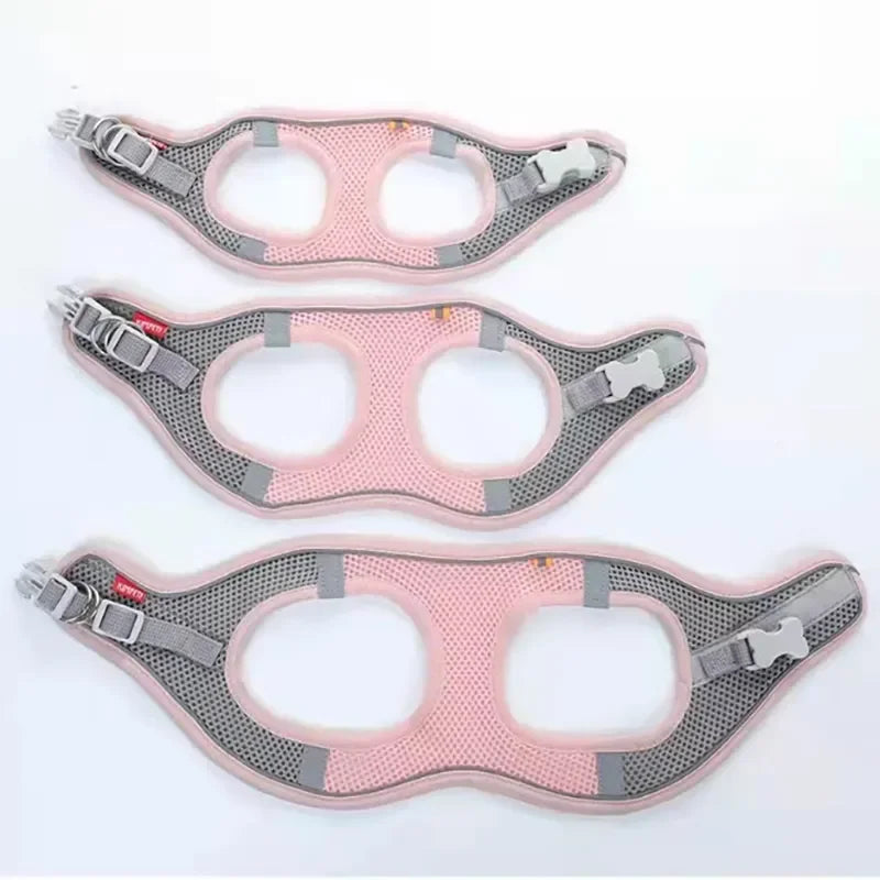 Cat Dog Harness for Small Medium Dogs Outdoor Walking