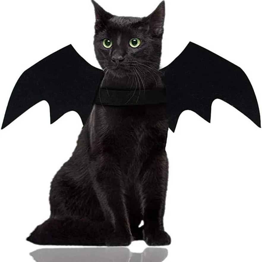 Bat-Wing Cat Costume for Cosplay