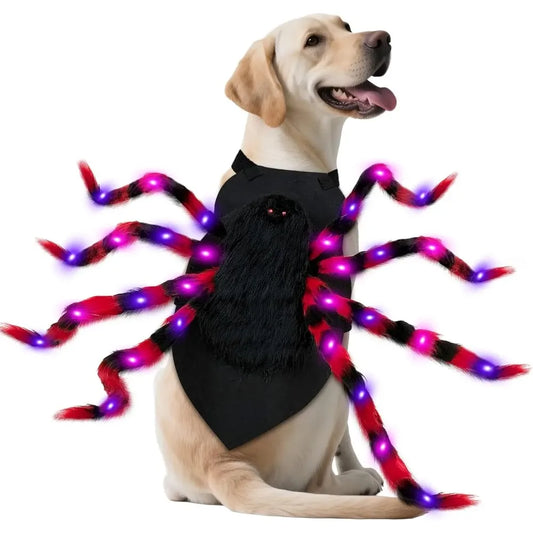 Fun Halloween Costume Spider for Large Dogs