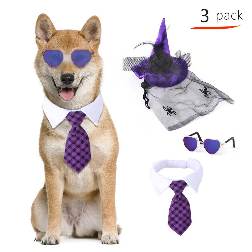 Perfect Halloween Pet pumpkin and ghost themes Accessory