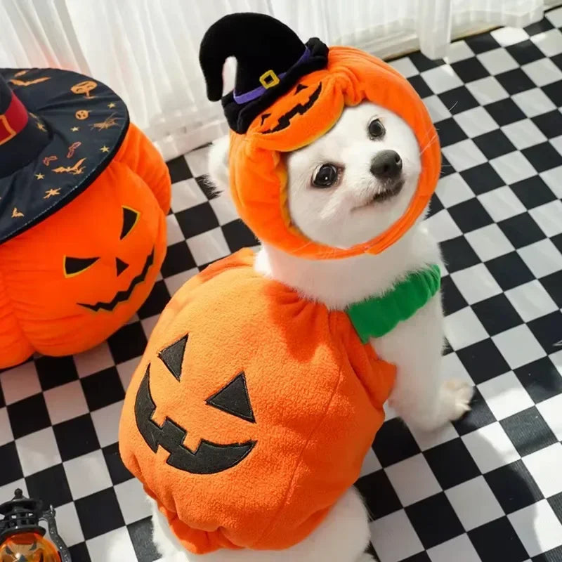 Halloween Dog Costumes Funny Pumpkin Lantern