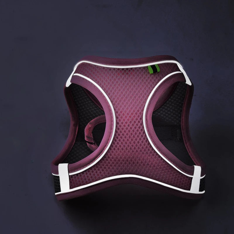 Cat Dog Harness for Small Medium Dogs Outdoor Walking