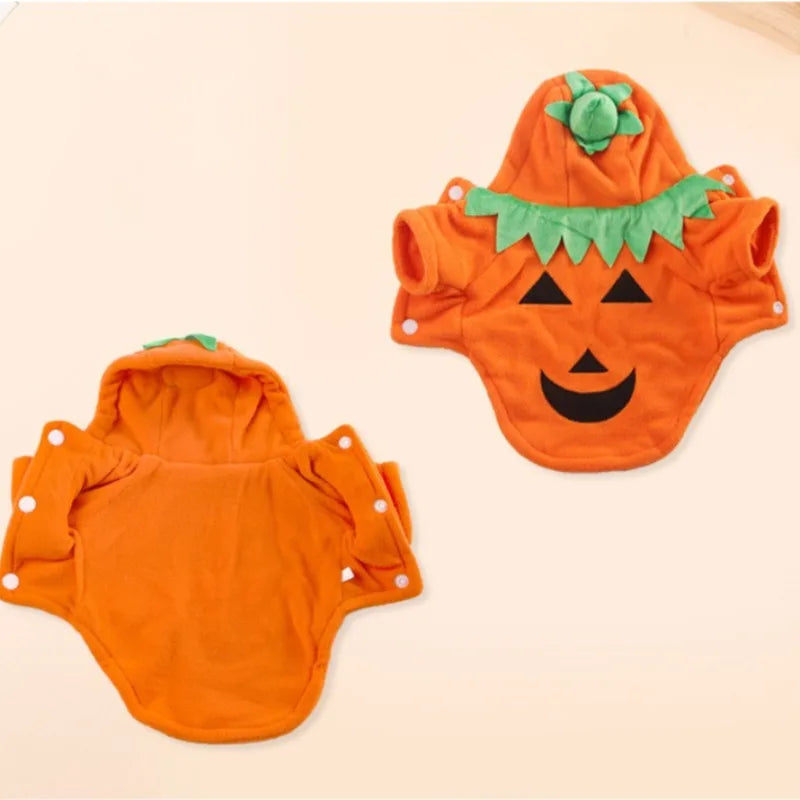 Halloween Pet Costume Pumpkin Outfit