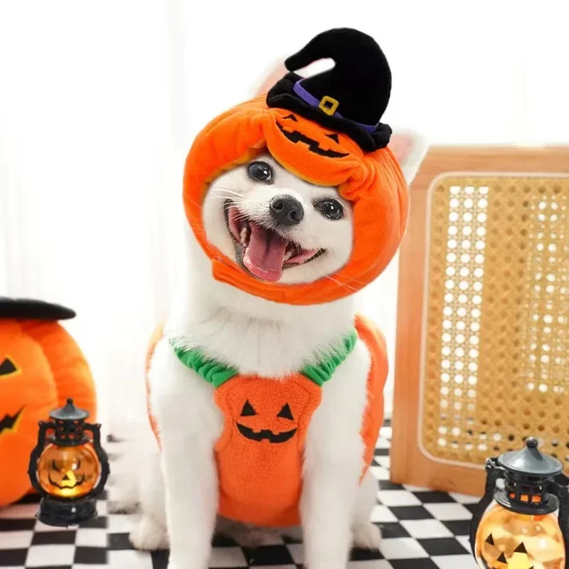Halloween Dog Costumes Funny Pumpkin Lantern