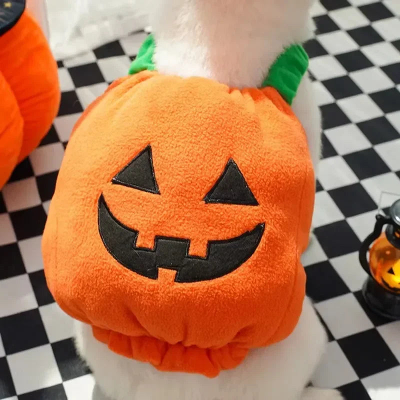 Halloween Dog Costumes Funny Pumpkin Lantern