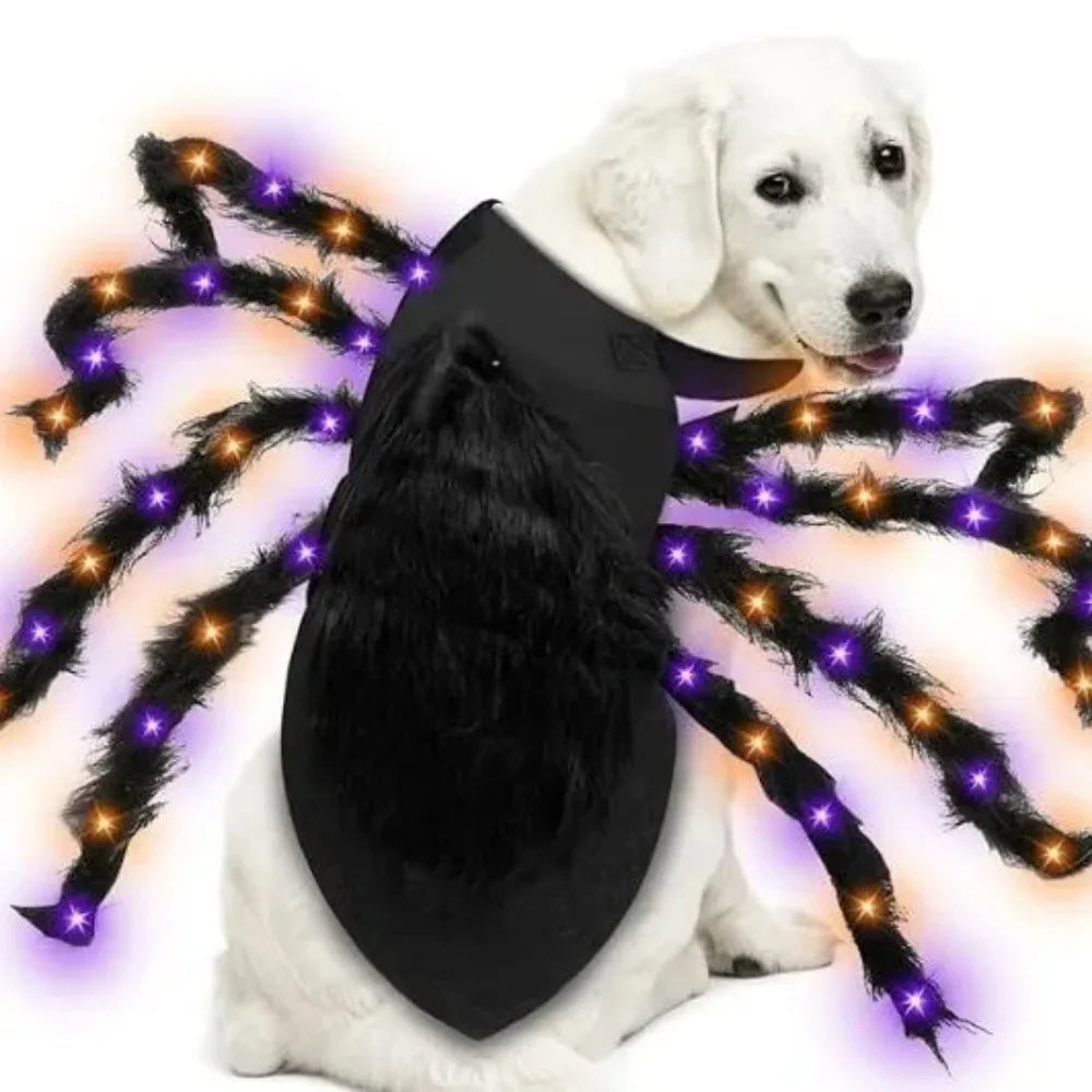 Fun Halloween Costume Spider for Large Dogs