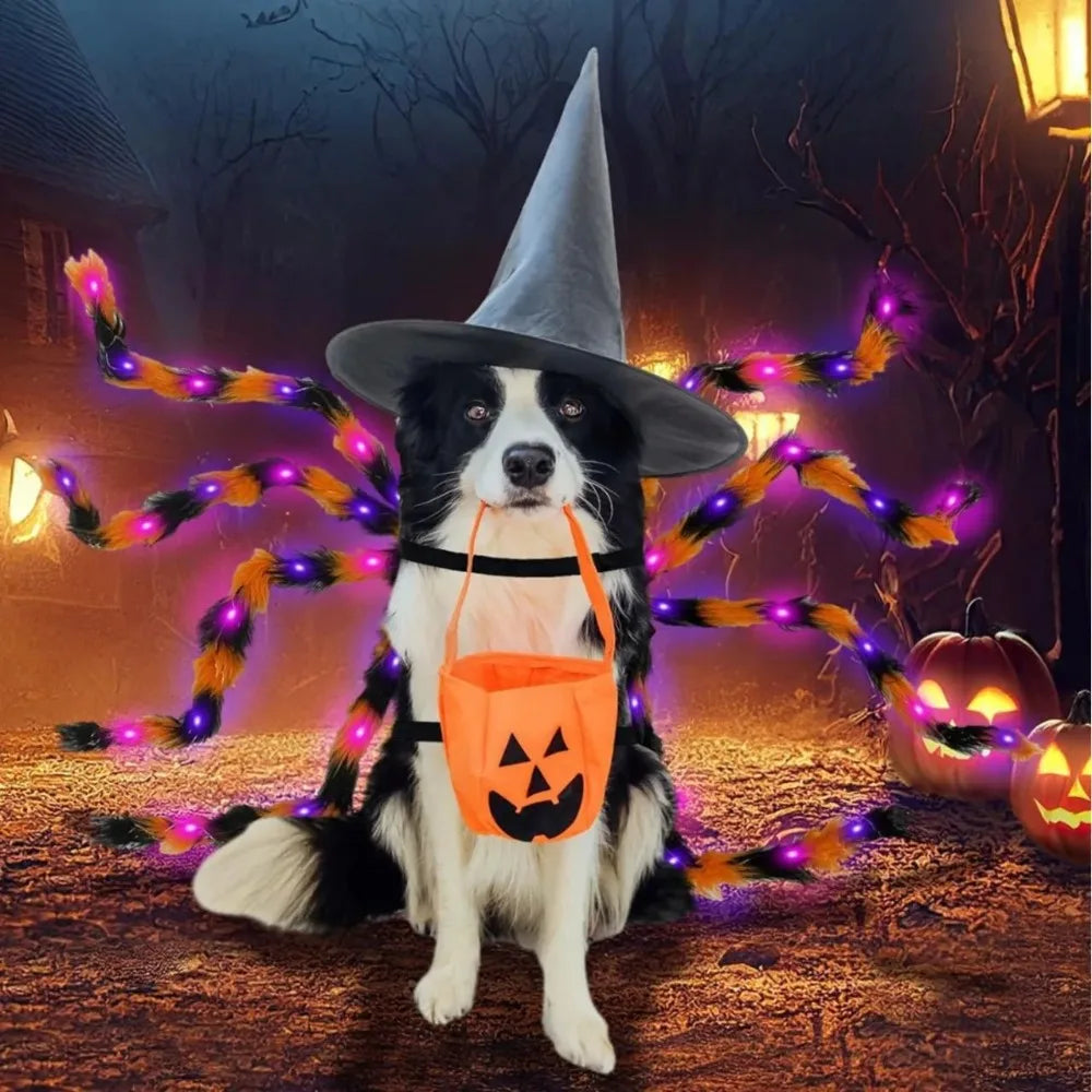 Fun Halloween Costume Spider for Large Dogs