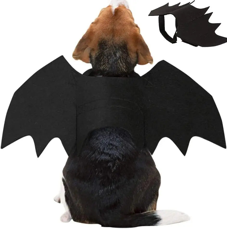 Bat-Wing Cat Costume for Cosplay