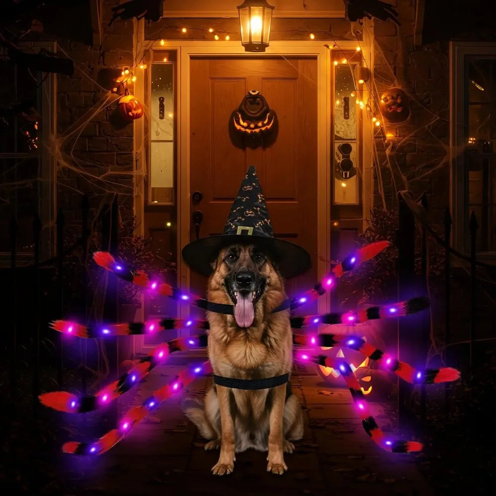 Fun Halloween Costume Spider for Large Dogs
