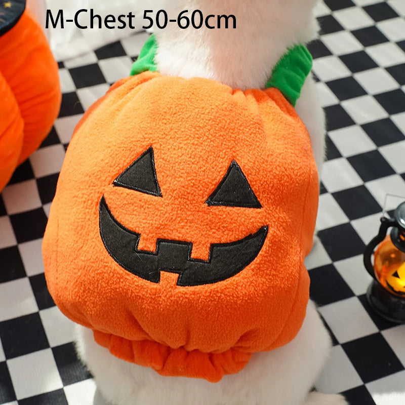 Halloween Dog Costumes Funny Pumpkin Lantern