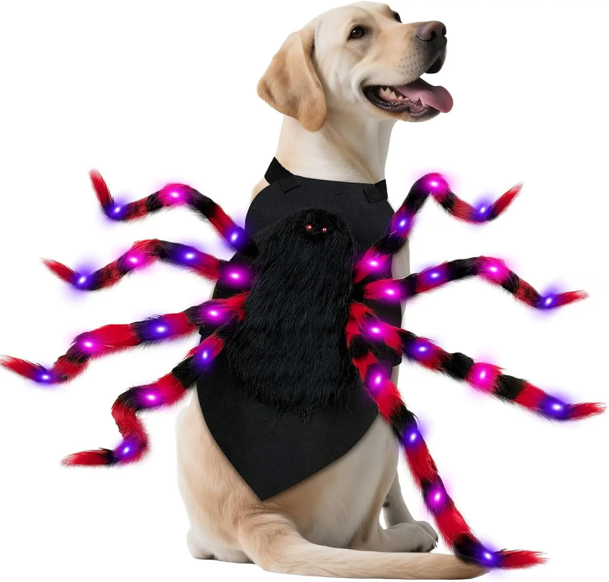 Fun Halloween Costume Spider for Large Dogs